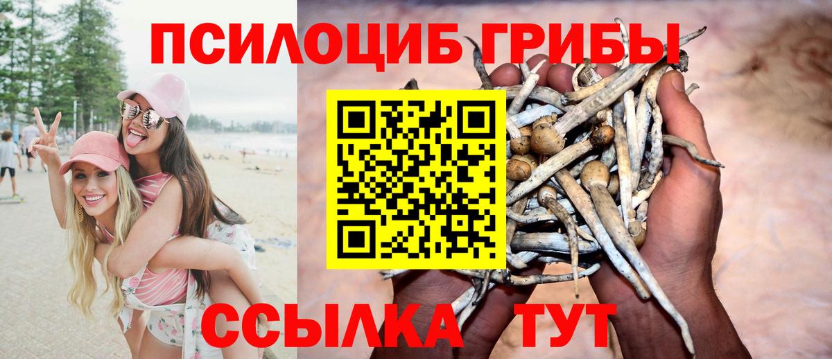 Ревда  где купить   Вход с VPN  Псилоцибиновые грибы мицелий 